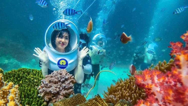 Cẩm Nang Đi Đảo - Hướng Dẫn Du Lịch Đảo Phú Quốc Lần Đầu